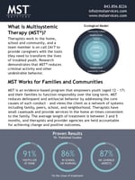 Fact-Sheet-MST-Overview
