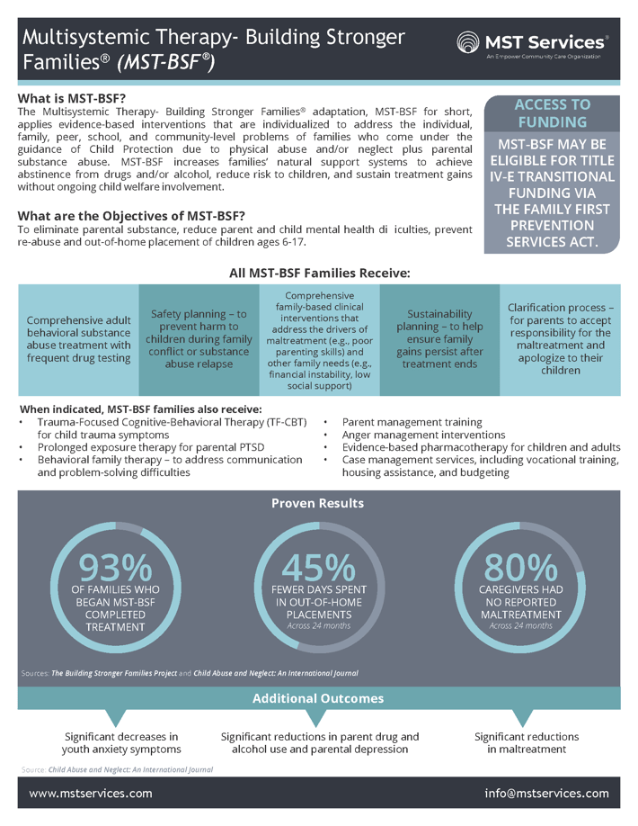 MST BSF Fact Sheet | MST Services