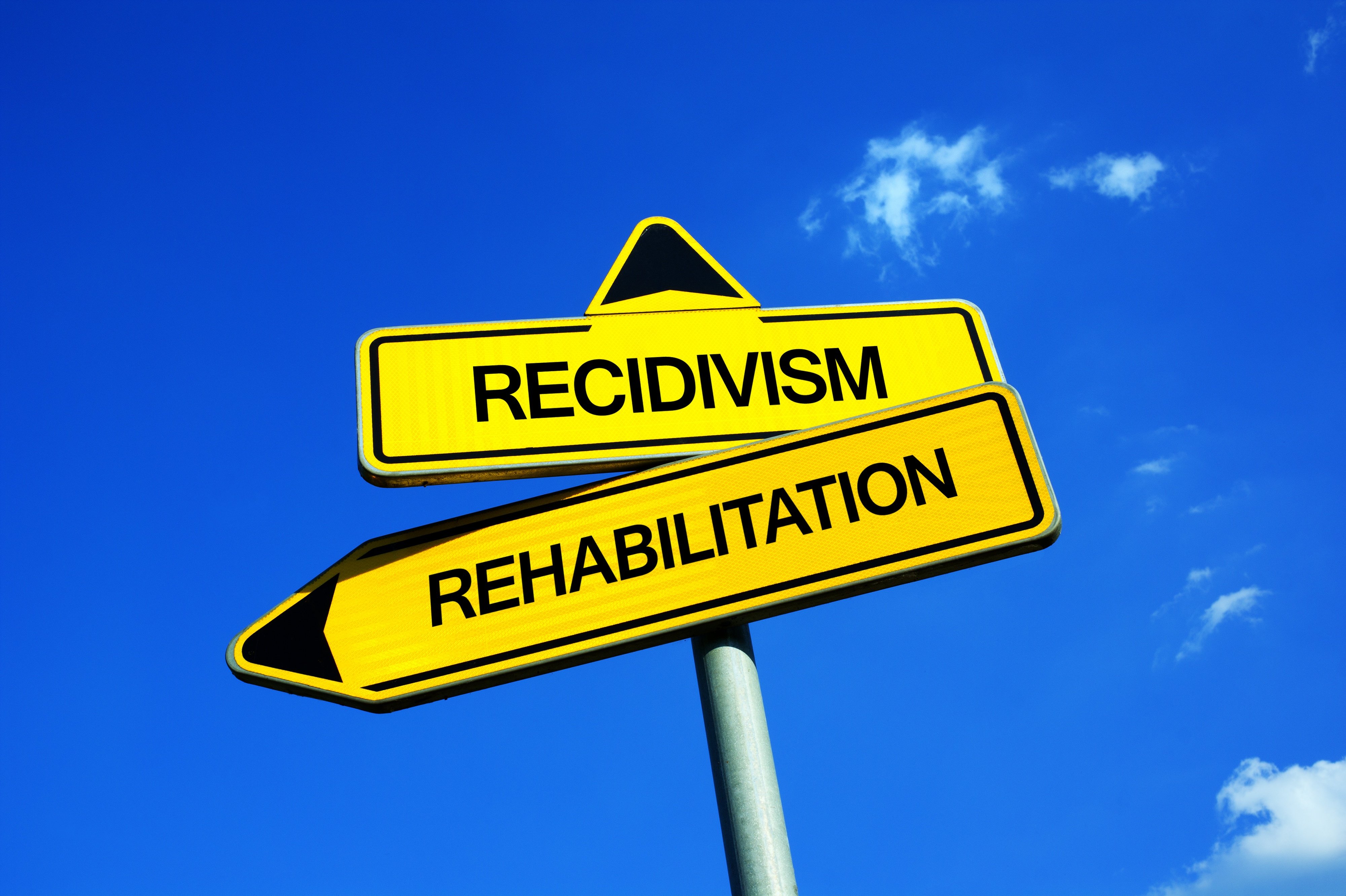 What Is The Word Recidivism Mean